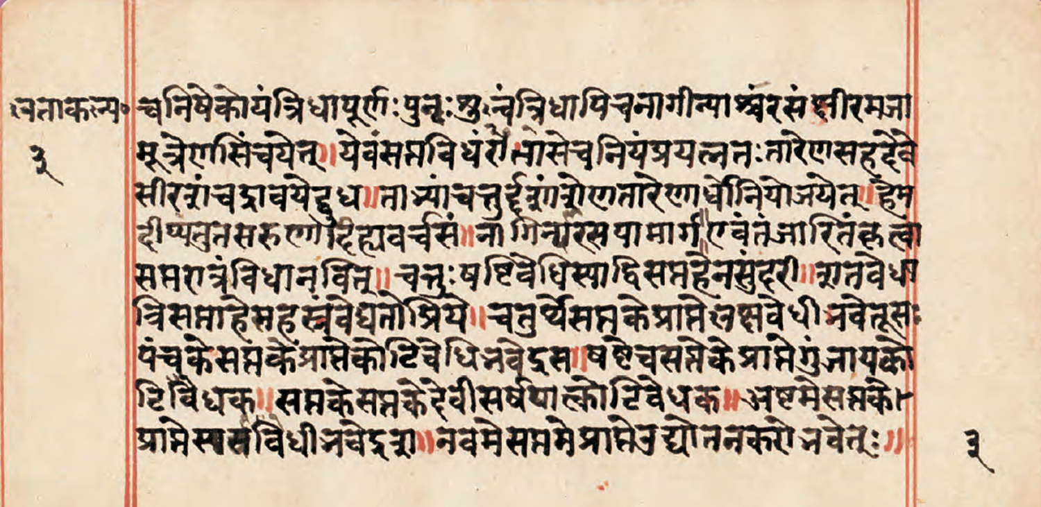 Devanagari manuscript folio, illuminated
